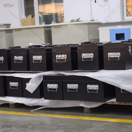 Smile Heißer verkaufender Hochleistungs-Aluminium-LKW-Werkzeugkasten